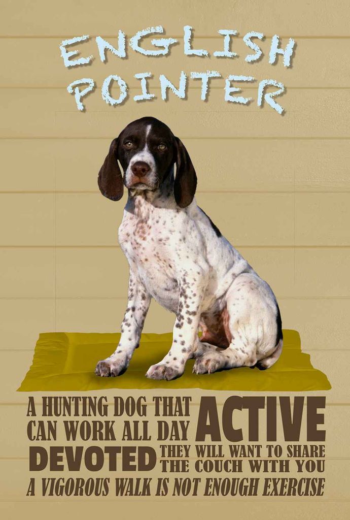 vianmo Holzschild 30x20 cm English Pointer Hund active Tier Haustier
