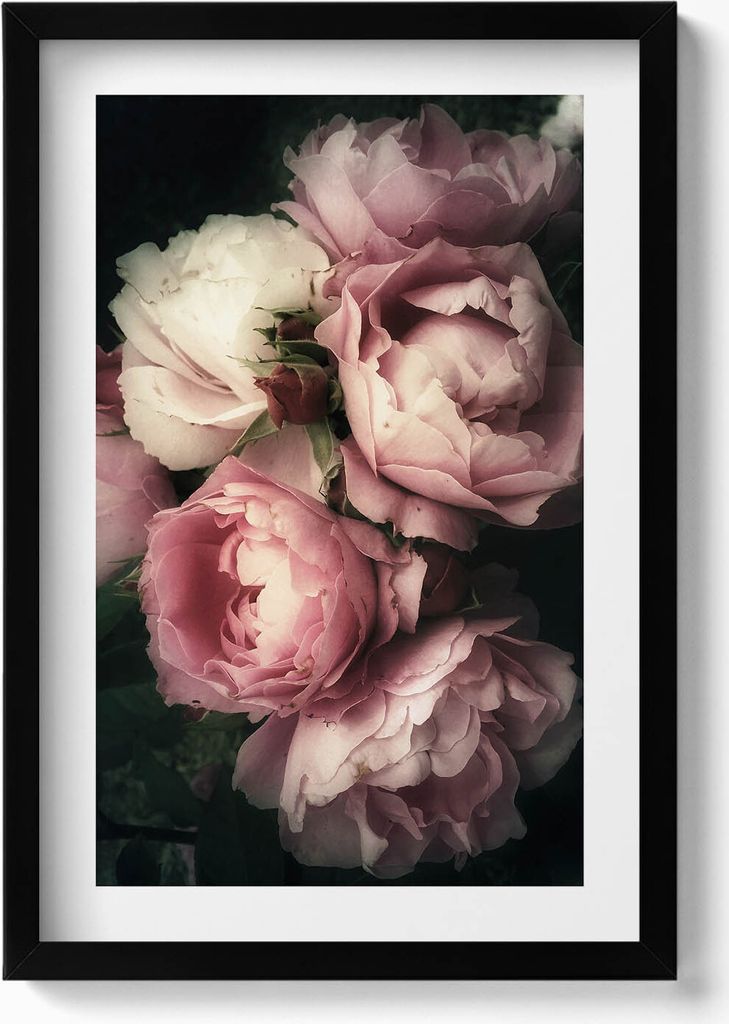 Blumenstrauß aus rosa Vintage-Rosen– Wandbild mit Rahmen – Gerahmtes Bild – Wanddekoration – 40x60 cm – Schwarz