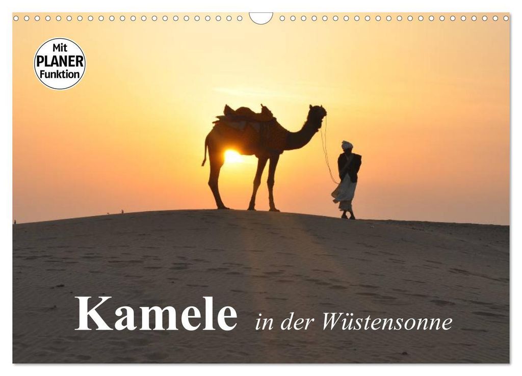 Kamele in der Wüstensonne (Wandkalender 2027 DIN A3 quer), CALVENDO Monatskalender