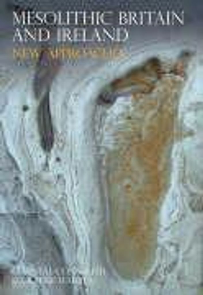 Conneller, C: Mesolithic Britain and Ireland