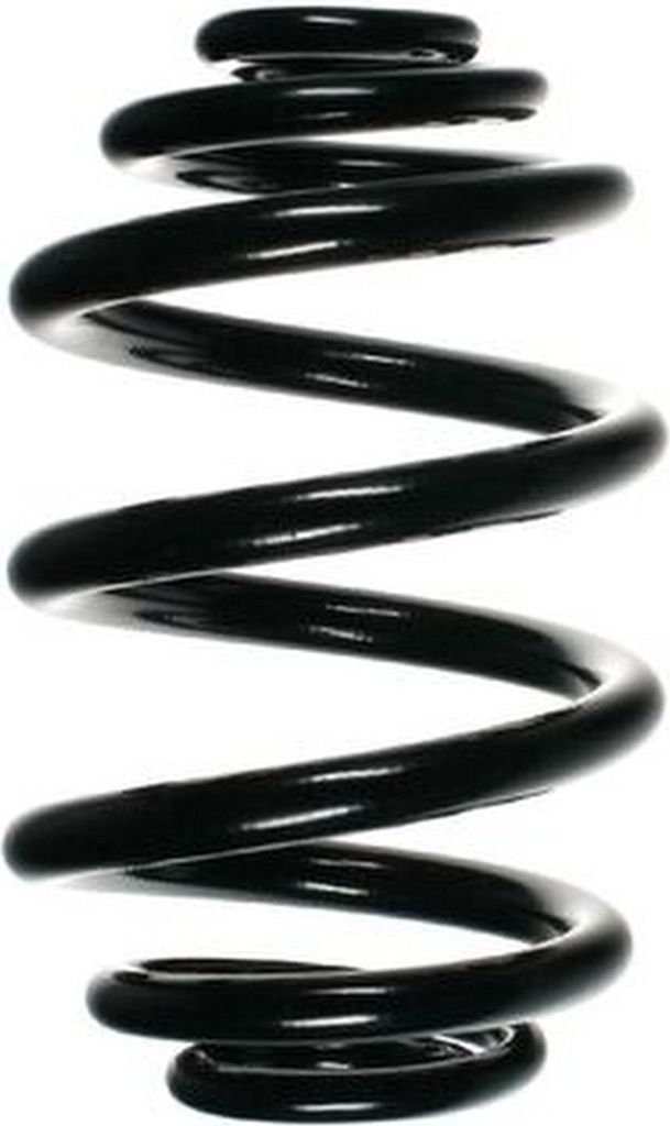 SPIDAN Fahrwerksfeder Hinten für BMW 3 Limousine (E46) 56922