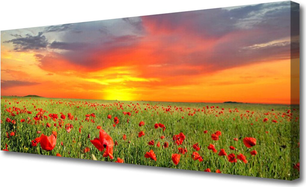 Tulup Leinwand-Bilder 125x50 Wandbild Canvas Kunstdruck Mohnblumen Sonne Natur