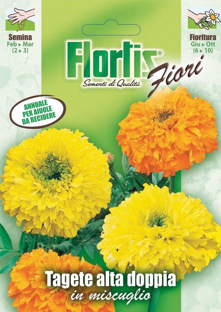 Doppelte Studentenblume Große Mischung | Studentenblumensamen von Flortis