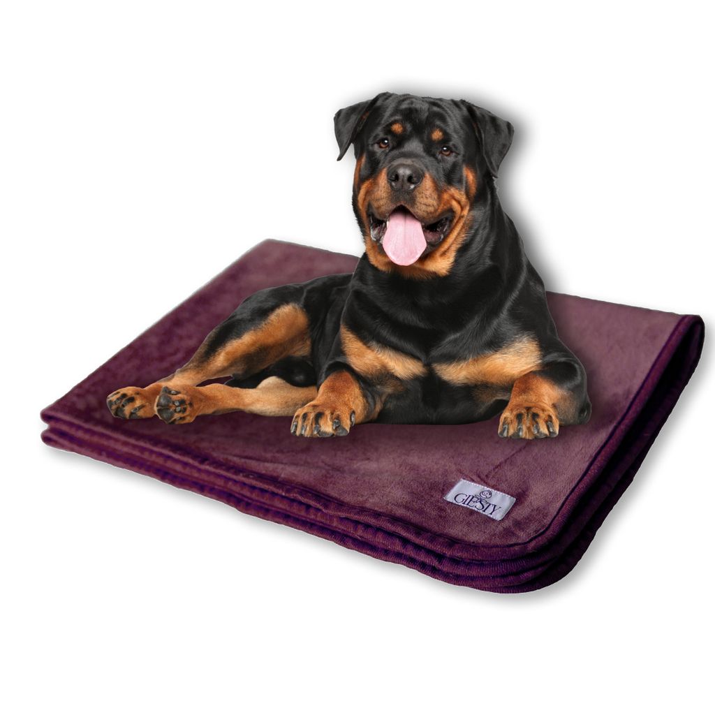 Giesty Hundedecke, Haustier Decken kuschelweich, Decken für Hunde Wasserdicht, maschinenwaschbar, beidseitiger Sofabezug-Schutz, Lila, XXL (203x14...