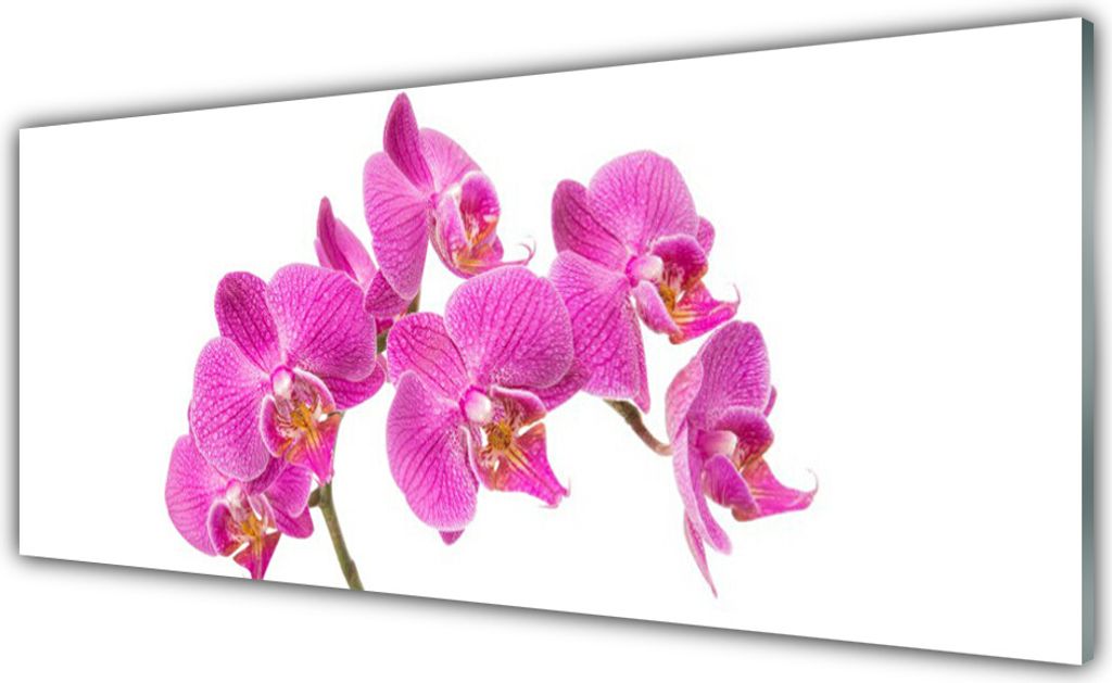 Acrylglasbilder 125x50 Wandbild Druck Blumen Pflanzen