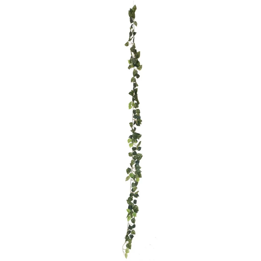 Guirlande Végétale Pothos 180cm pour Créer un Mur Végétal Artificiel