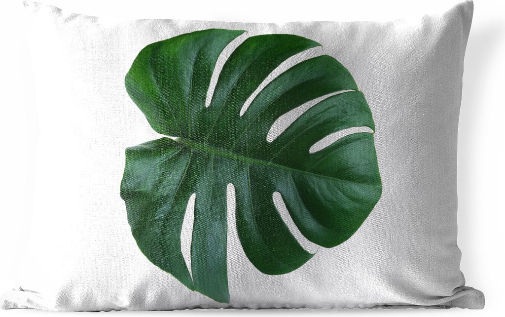 MuchoWow Outdoor Kissen - Monsterblatt auf weißem Hintergrund - 50x30 cm - Wetterfest - Lounge Kissen - Sofa kissen - Wohnzimmer Dekoration