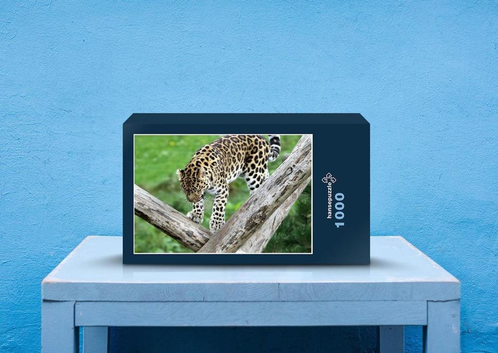 hansepuzzle 76998 - Leopard Puzzle, 1000 Teile, Tierwelt, 60,0 x 46,0cm mit hochwertiger Aufbewahrung, Kartonbox und wiederverschließbarem Beutel