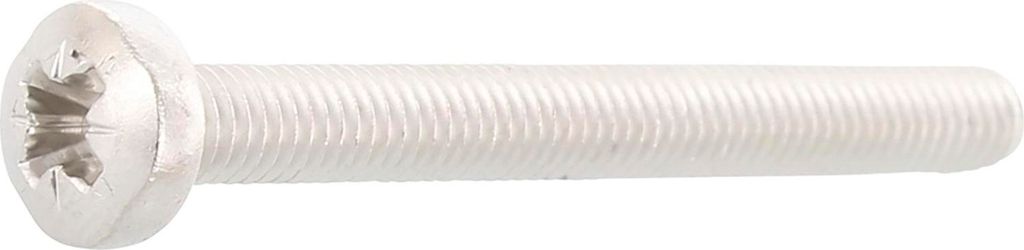 ISO7045 M 4x 10 Phillips Kreuzschlitz Edelstahl A2 Linsenschraube (DIN7985A)