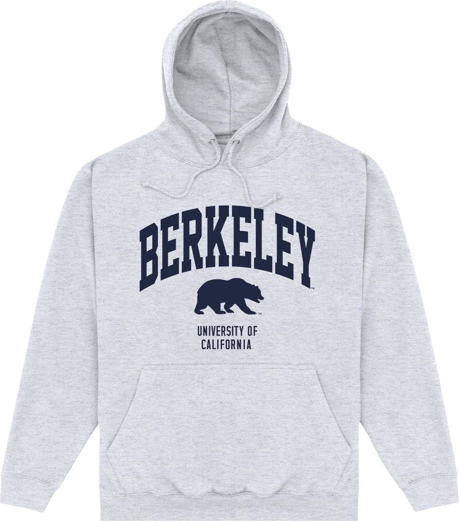 Berkeley - Kapuzenpullover für Herren/Damen Uni PN365 (M) (Grau meliert)
