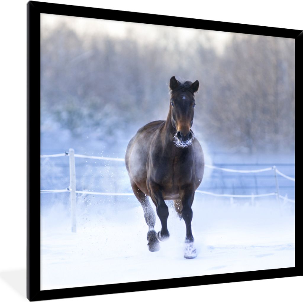 MuchoWow® MuchoWow® Gerahmtes Poster Pferd - Schnee - Produktbild 