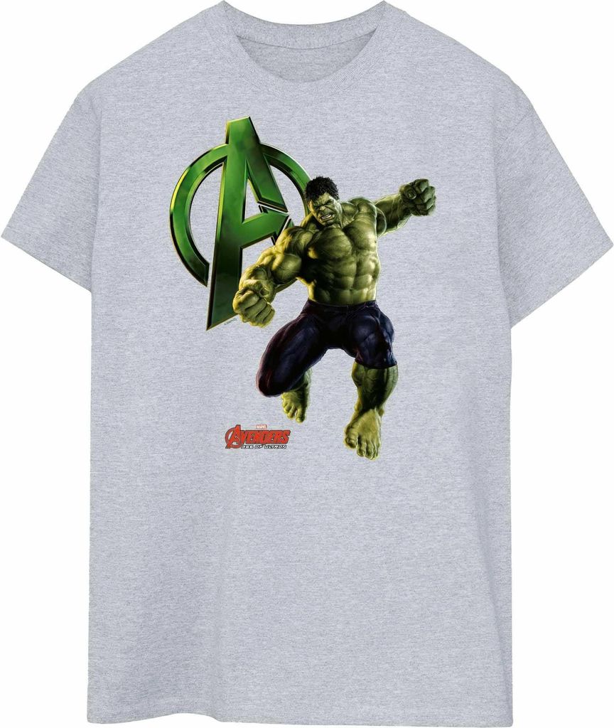 Hulk - T-Shirt für Herren BI454 (XL) (Grau)