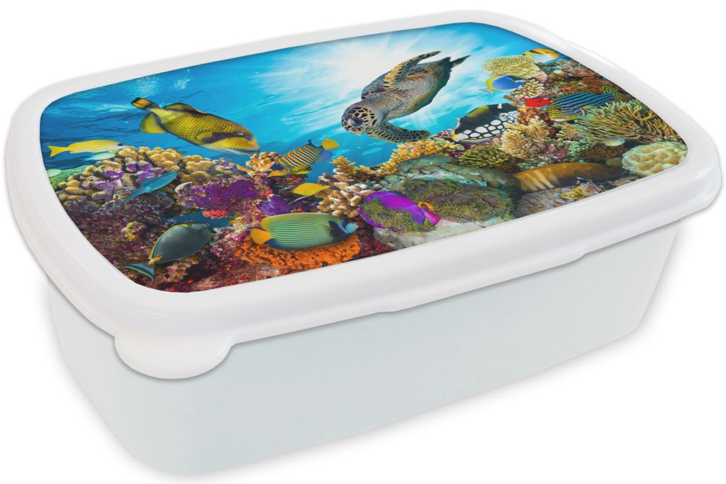 KitchenYeah Lunchbox Brotzeit Brotdose 17x11 cm Schildkröte - Meer - Koralle Kinder Brotzeitdose - Lunch Box - Kinder - Sandwich-Box - Schulbox ...