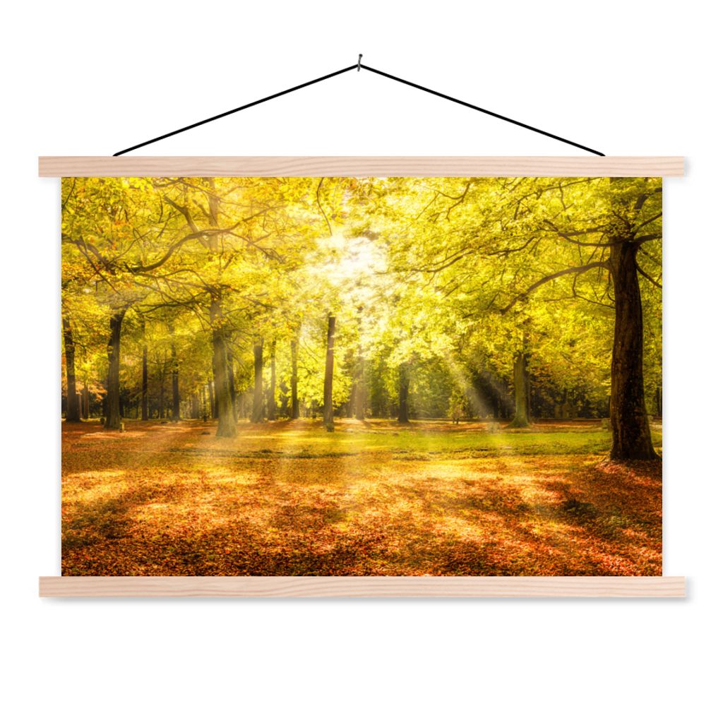 MuchoWow Textilposter Baum - Natur - Sonne - Landschaft - Wald 60x40 cm mit holzfarbenen Rahmen - Bilder