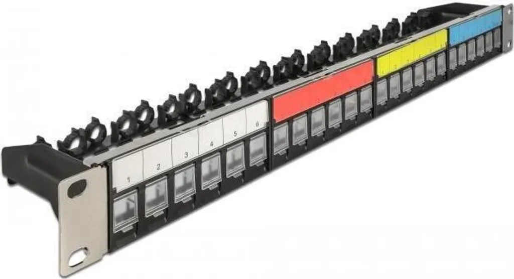 Delock Panneau de Brassage Keystone Vide - Support 24 Ports pour Rack 19