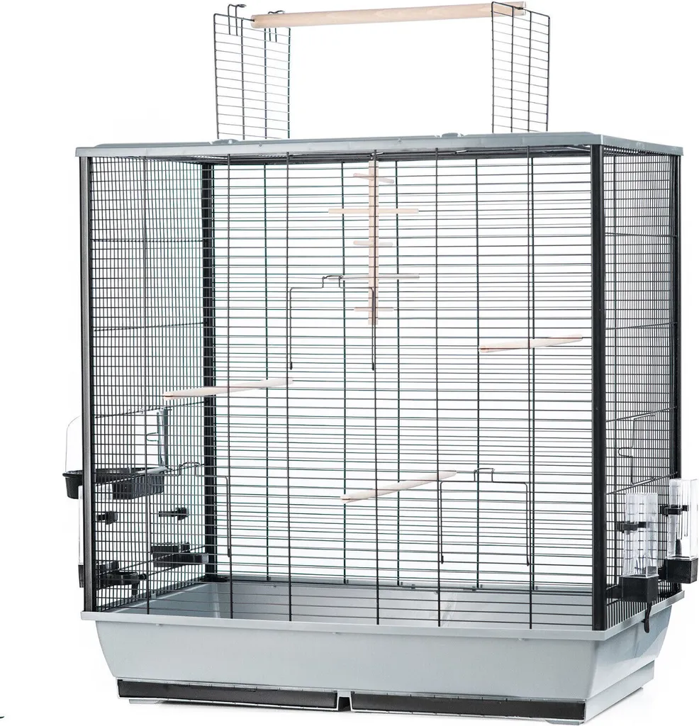Cage oiseau anti-évasion avec plateau amovible pour entretien facile