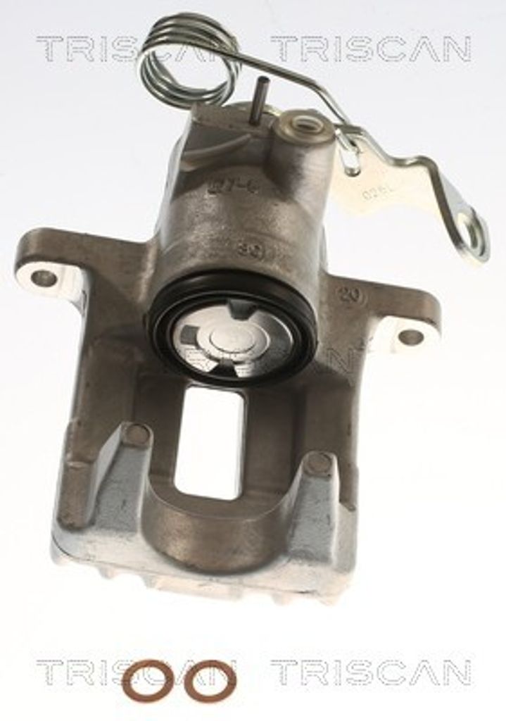 TRISCAN Bremssattel für VW PASSAT Variant (3B6) Ø38mm 8175 29213