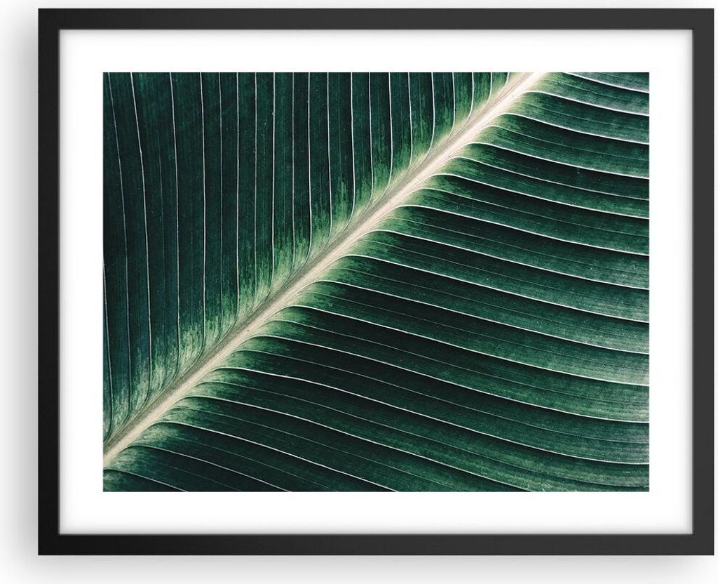 Gerahmtes Poster - Schwarzer Rahmen - Grün Blatt Tropisch - 50x40 cm - Wand Bild - Wanddeko - Wandbilder - Kunstposter - Wandposter - Bilderrahmen...