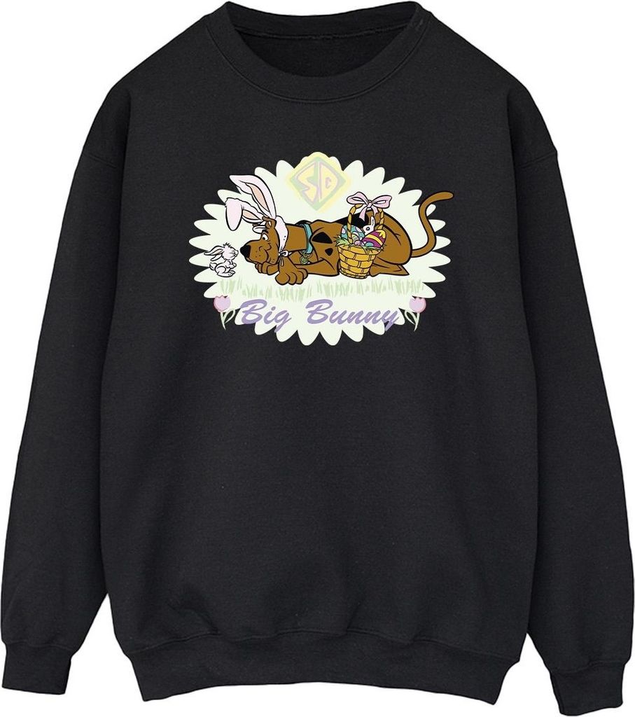 Scooby Doo - Sweatshirt für Herren BI51593 (L) (Schwarz)