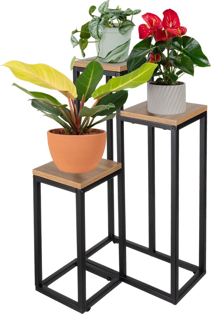 Three plant stands of varying heights, each holding a potted plant, arranged against a white background.
