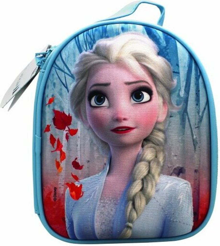 A close-up of a Disney Frozen II themed backpack featuring Elsa.