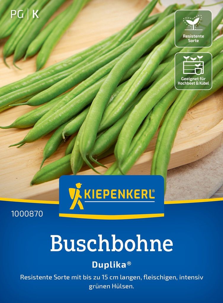 Buschbohne Duplika | Buschbohnensamen von Kiepenkerl
