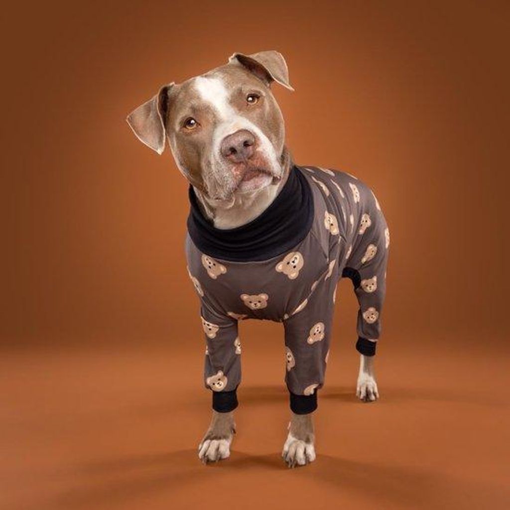 Hundepyjama - Hundetrui - Kleidung für Hunde - Größe S-M-L