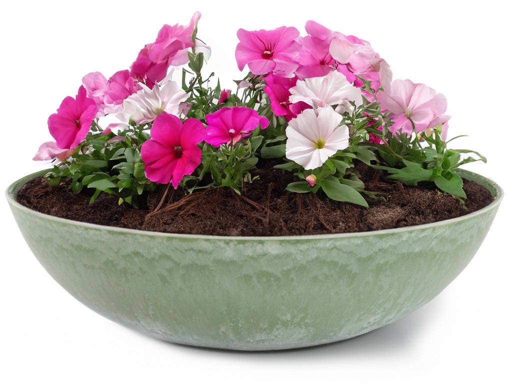 Runde bauchige 30 cm Pflanzschale für draussen, grün Produktbild 