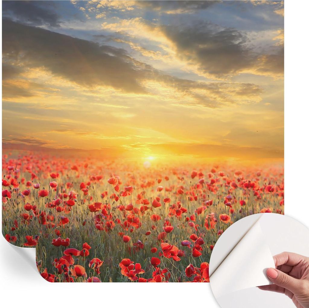 Selbstklebende Wandtapete - Dekorative Tapete für Wohnzimmer - Klebefolie für Wandbilder - Tapetenfolie für Wanddekoration - 250x250 cm - Mohnfeld
