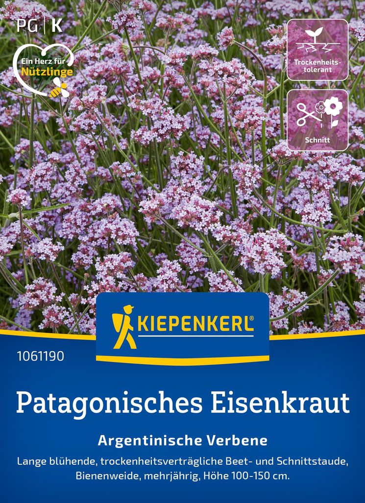 Kiepenkerl Patagonische Eisenkrautsamen Argentinische Produktbild 