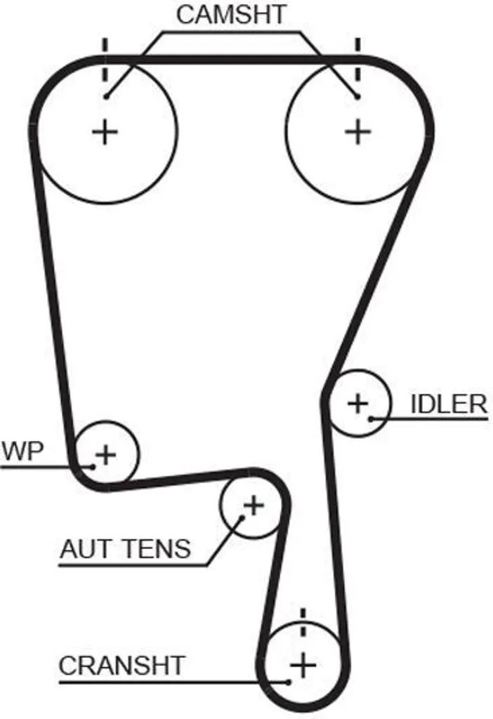 Supprimez les sifflements moteur avec la courroie Gates K060555RPM 55567572