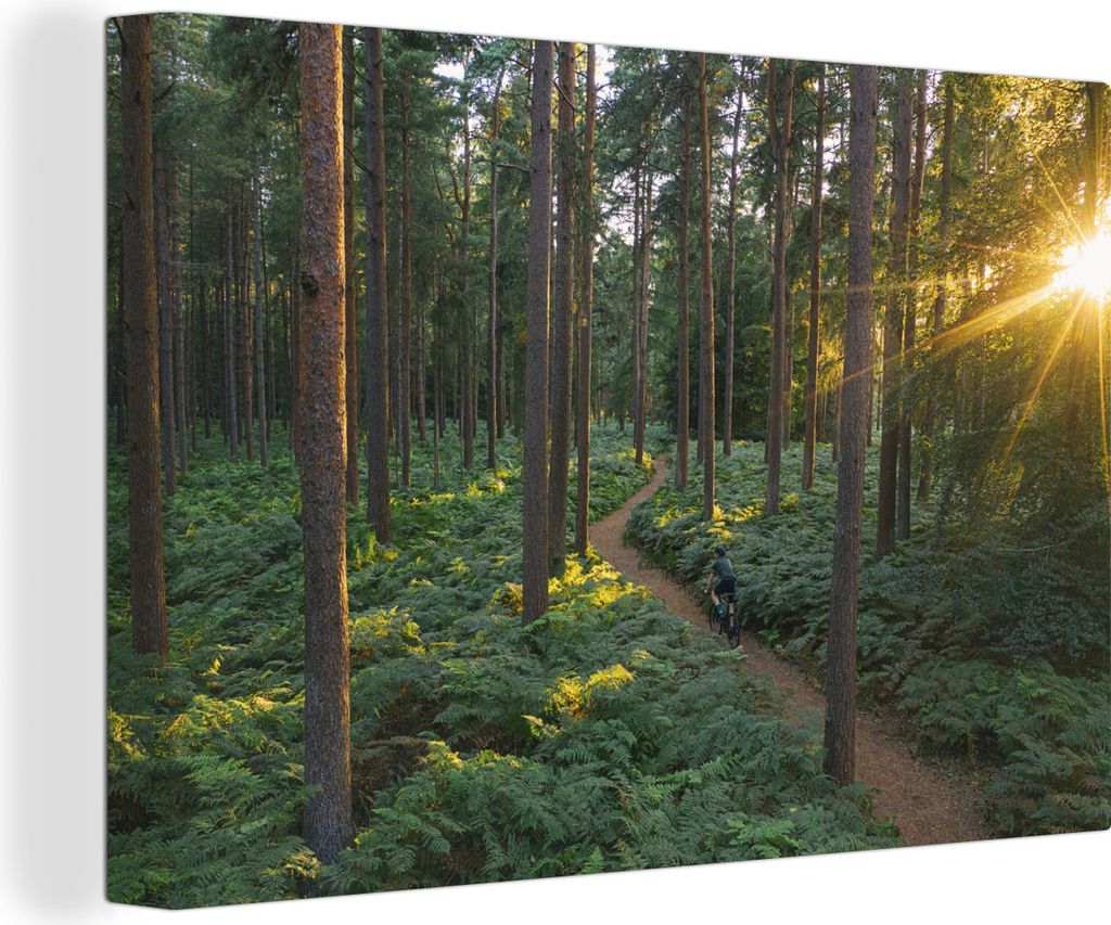 OneMillionCanvasses - Leinwandbilder - 140x90 cm, Mann radelt mit seinem Mountainbike durch einen Wald, Wandbilder Kunstdruck Wanddekoration