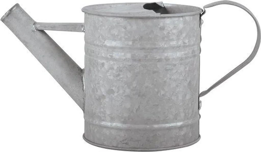Arrosage précis des plantes : arrosoir en zinc gris 0,75 l compact