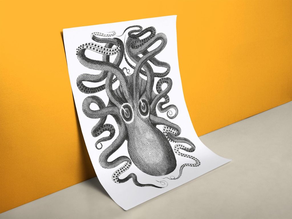 Krake Bild Poster - Lehrbuch Illustration | Größe in cm: 50 x 70