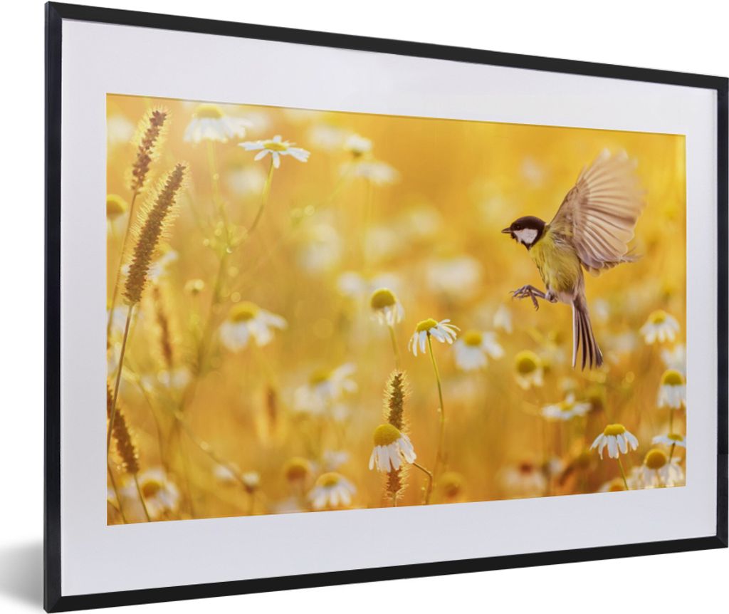 MuchoWow Gerahmtes Poster Vogel - Kohlmeise - Blumen - Gänseblümchen 60x40 cm - Poster mit Schwarzem Bilderrahmen Wandposter Rahmen Foto Bilder...