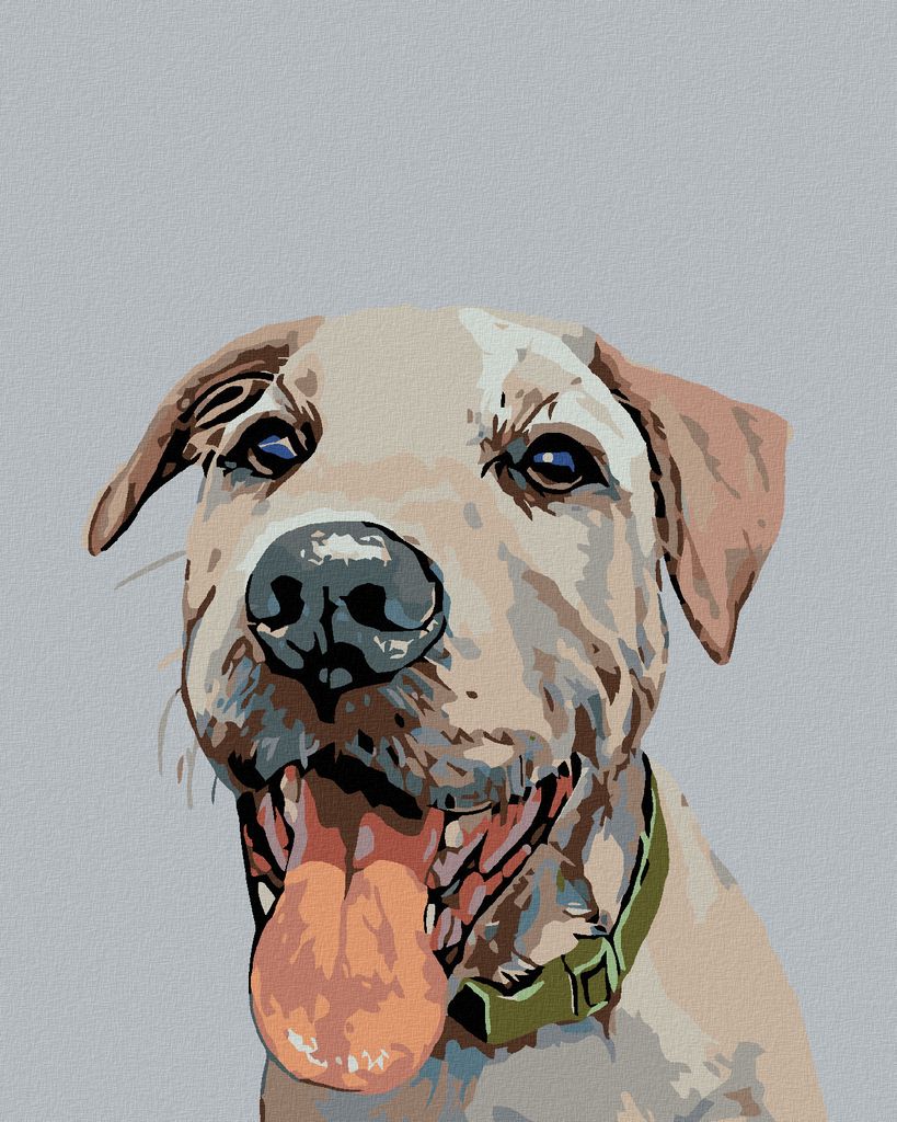 Zuty - Malen nach Zahlen - HUND MIT GRÜNEM HALSBAND, 40x50 cm, mit Keilrahmen (bereits gespannt)
