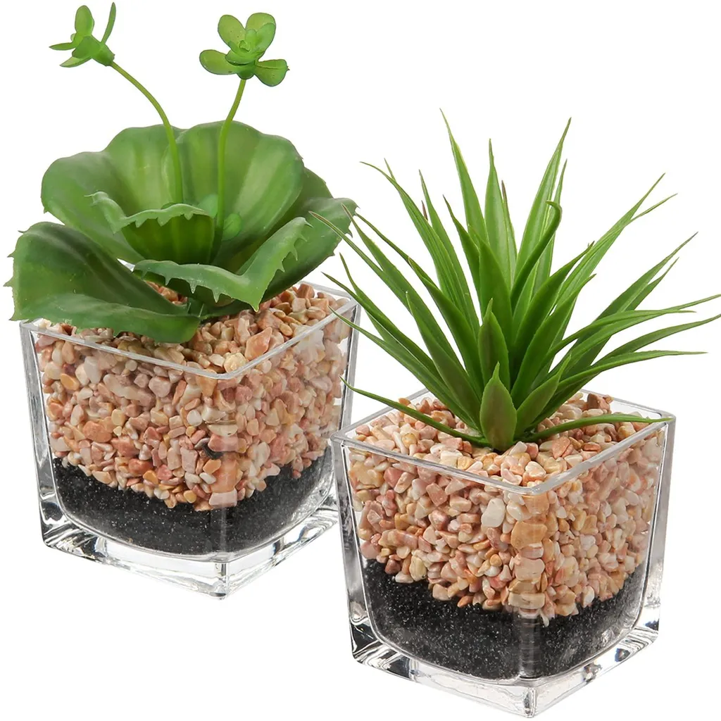 Plante succulente artificielle réaliste en pot de verre - Modèle L20