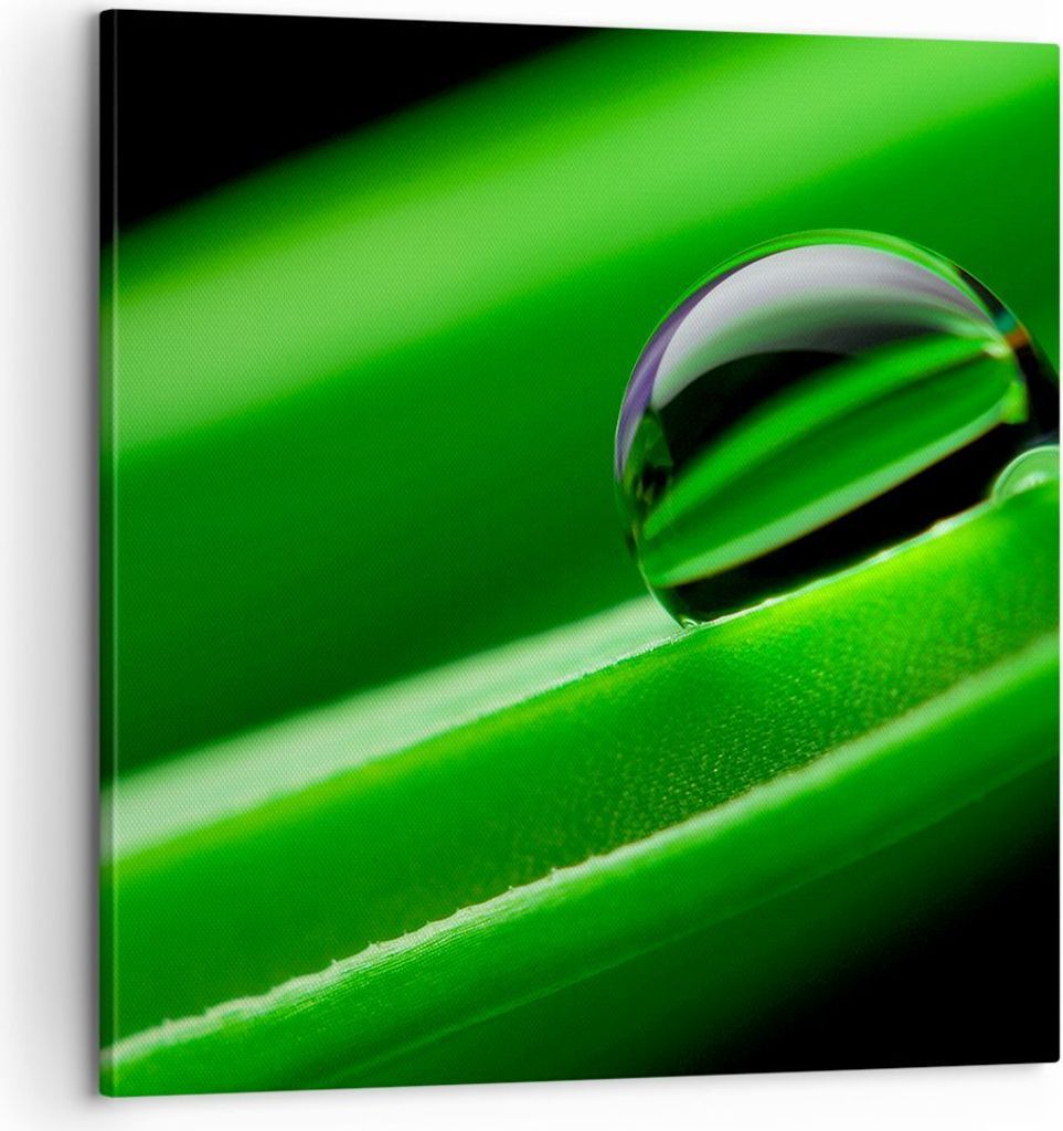 Bild auf Leinwand - Leinwandbild - Pflanze Tropfen Wasser Blase - 60x60cm - Wand Bild - Wanddeko - Leinwanddruck - Bilder - Kunstdruck - Wanddekora...