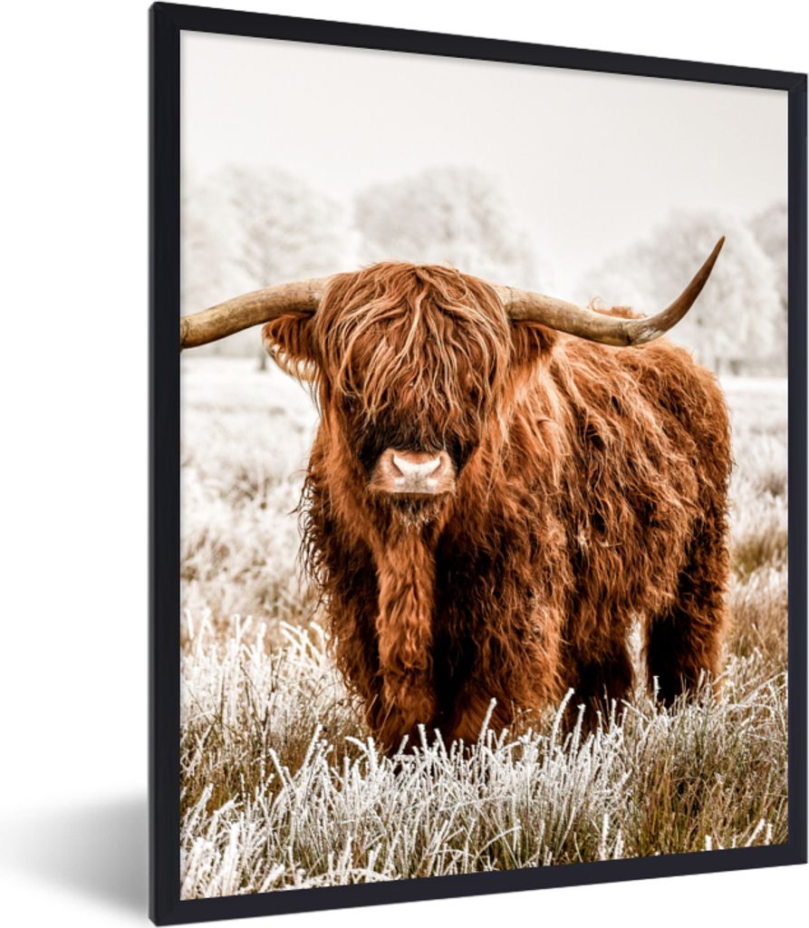 MuchoWow Gerahmtes Poster Schottischer Hochländer - Kuh - Tiere - Natur - Heidekraut 60x80 cm - Poster mit Schwarzem Bilderrahmen Wandposter Rah...