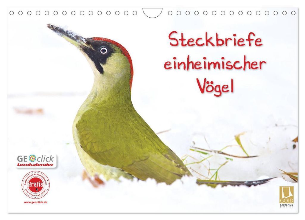 Steckbriefe einheimischer Vögel (Wandkalender 2027 DIN A4 quer), CALVENDO Monatskalender