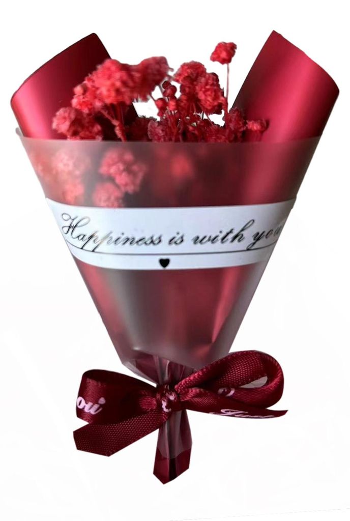 Mini-Trockenblumenstrauß aus natürlichem Schleierkraut (Gypsophila) – ideal für DIY-Bastelarbeiten, Foto-Requisiten, Geschenke, Einladungen un...