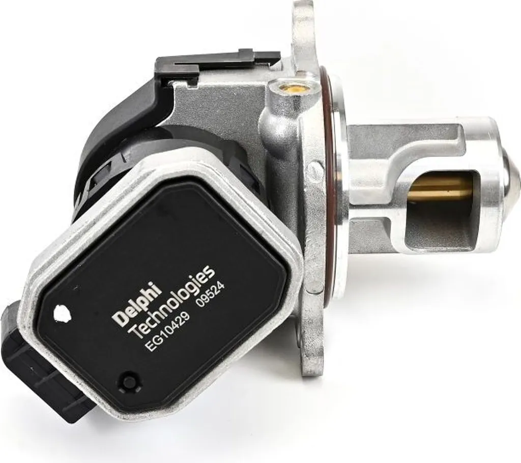 Vanne EGR DELPHI EG10429 pour Récupérer la Puissance de votre Moteur