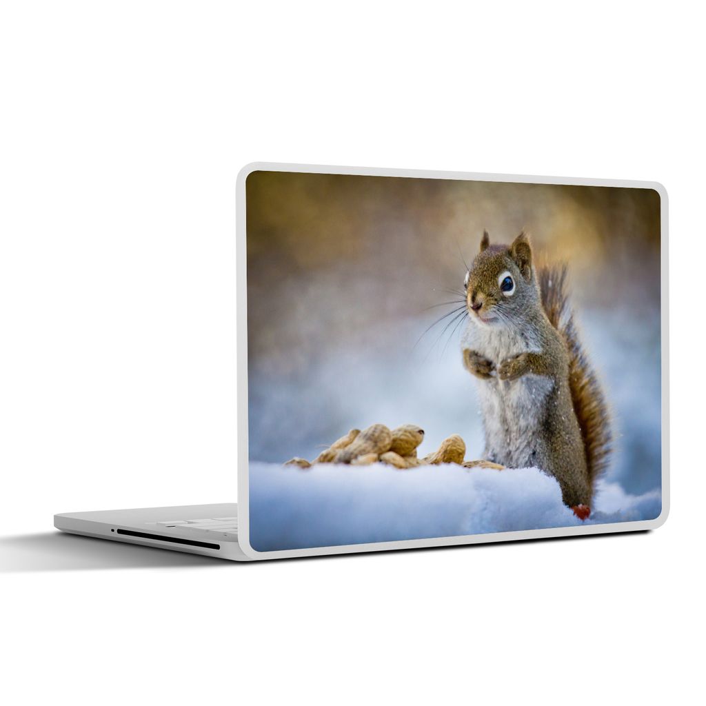 MuchoWow Laptop Aufkleber Sticker Cover Eichhörnchen - Nüsse - Schnee - Winter - Nagetiere - Jahreszeiten 30x22 cm - Laptop-Sticker