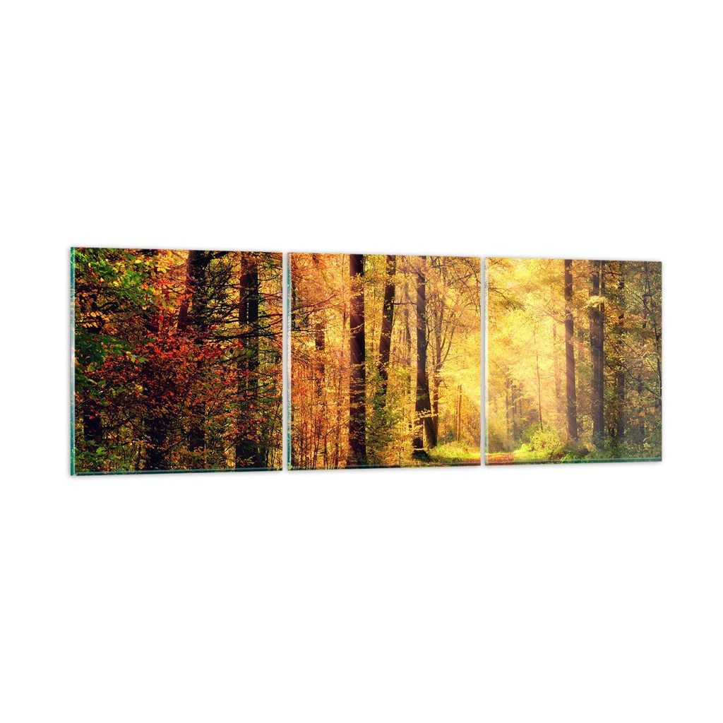 Bilder auf glas - Wald Baum Natur - 150x50cm - Glasbilder - Wandbilder - Kunstdruck - zum Aufhängen bereit - Wanddekoration aus Glas - Glas Bilder...