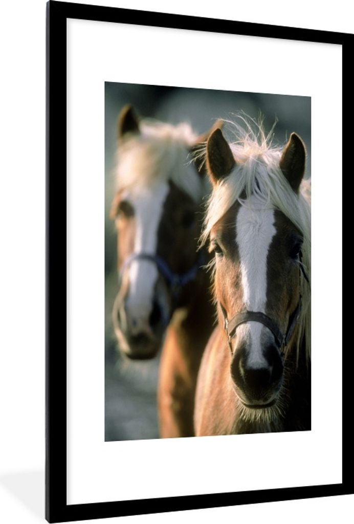 MuchoWow Gerahmtes Poster Zwei Haflinger Pferde 60x90 cm - Poster mit Schwarzem Bilderrahmen Wandposter Rahmen Foto Bilder - Dekoration - Wandpos...