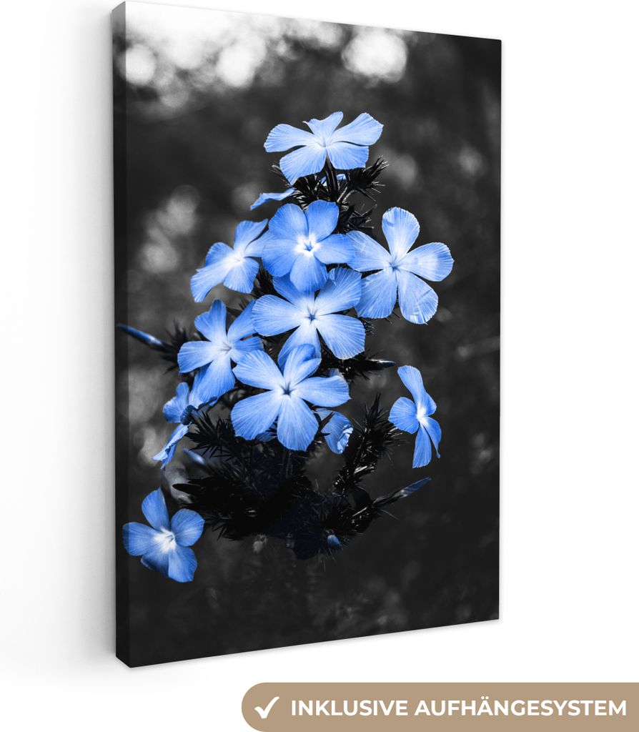 OneMillionCanvasses - Leinwandbilder - 90x140 cm, Blumen - Schwarz - Weiß - Blau, Wandbilder Kunstdruck Wanddekoration - Wandschmucke - Schlafzi...
