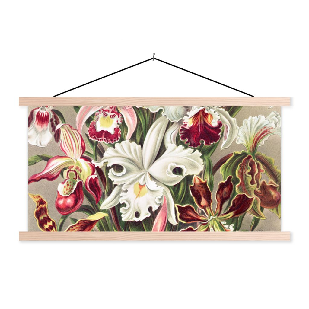 MuchoWow Textilposter Blumen - Ernst Haeckel - Jahrgang - Orchidee 120x60 cm mit holzfarbenen Rahmen - Klemmleiste