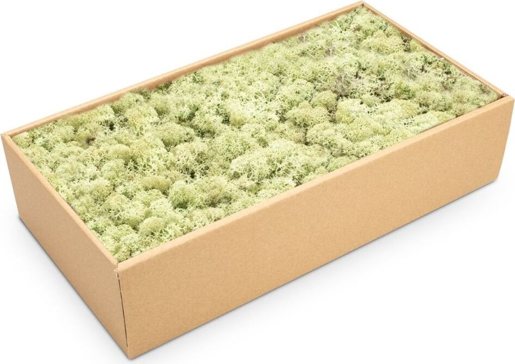 Islandmoos 500g in 30 Farben – Konserviertes Rentiermoos Produktbild 