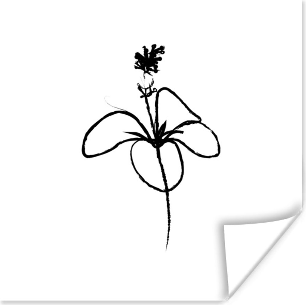 MuchoWow Poster Hibiskus - Blume - Strichzeichnung 100x100 cm - Babyzimmer