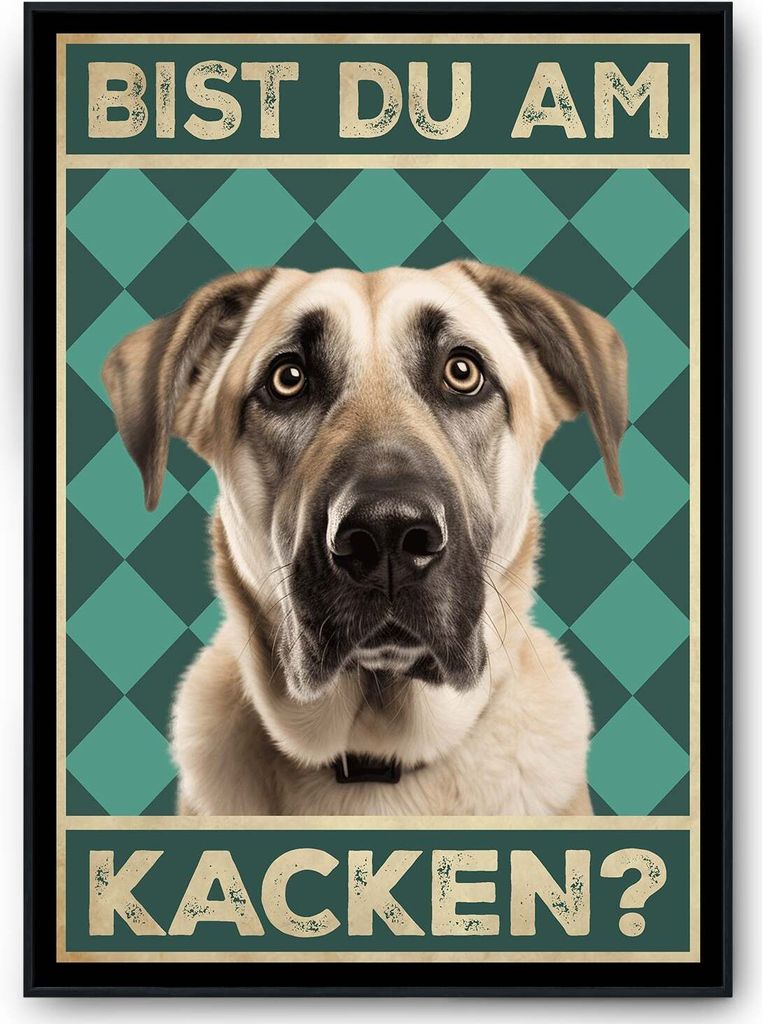 Kangal - Bist du am Kacken? Hunde Poster Badezimmer Gästebad Wandbild Klo Toilette Dekoration Lustiges Gäste-WC Bild DIN A4 – DIN A4 mit Rahmen...